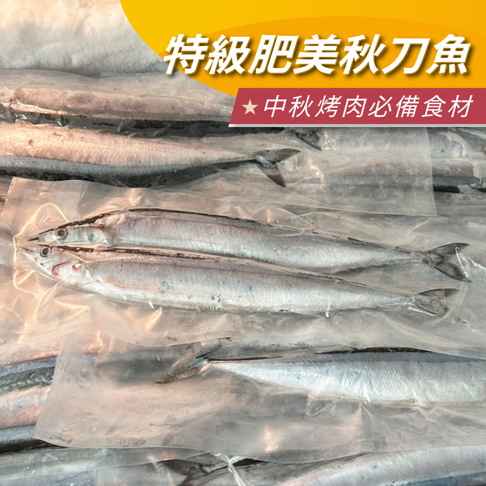 特級肥美秋刀魚 （3