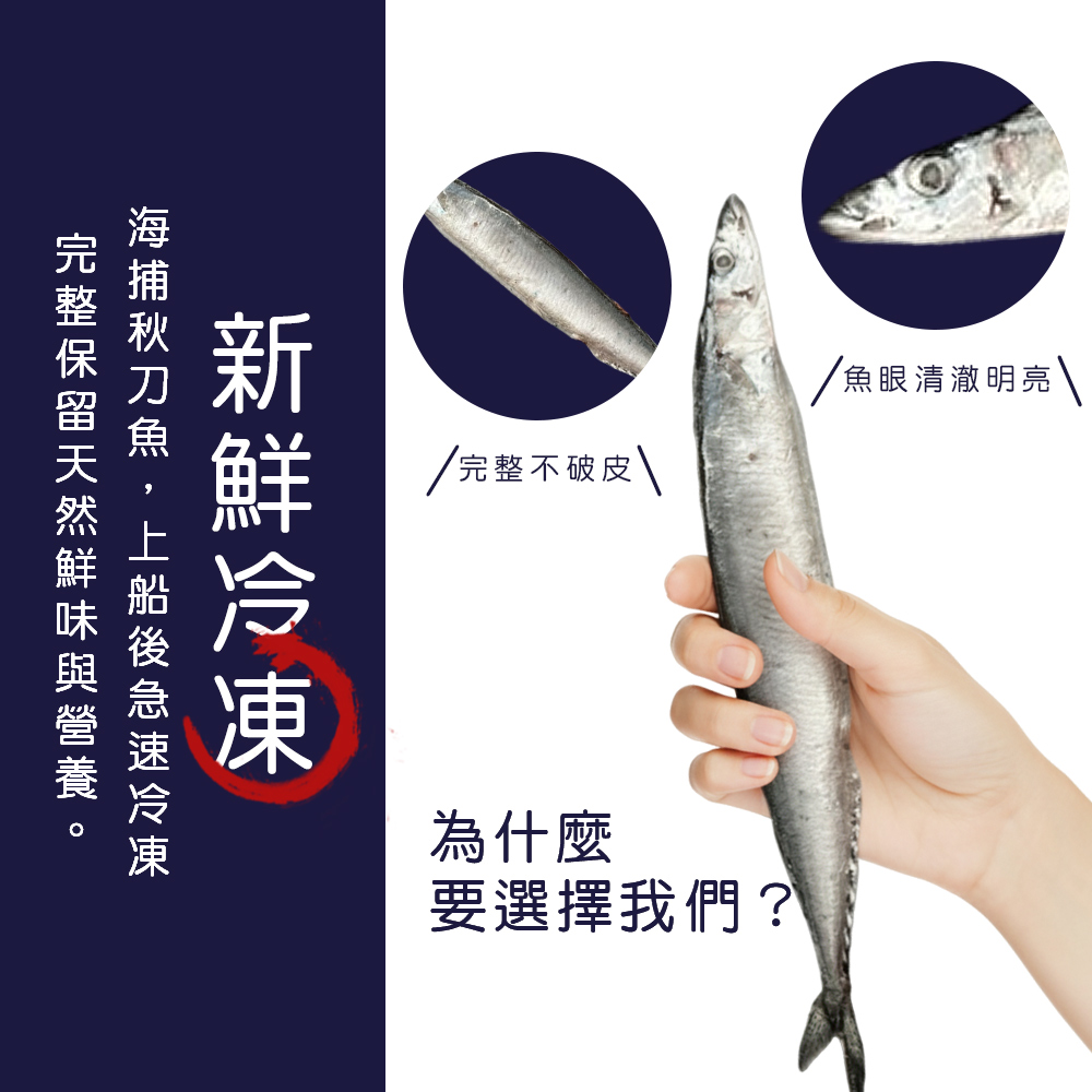 特級肥美秋刀魚 （350g）