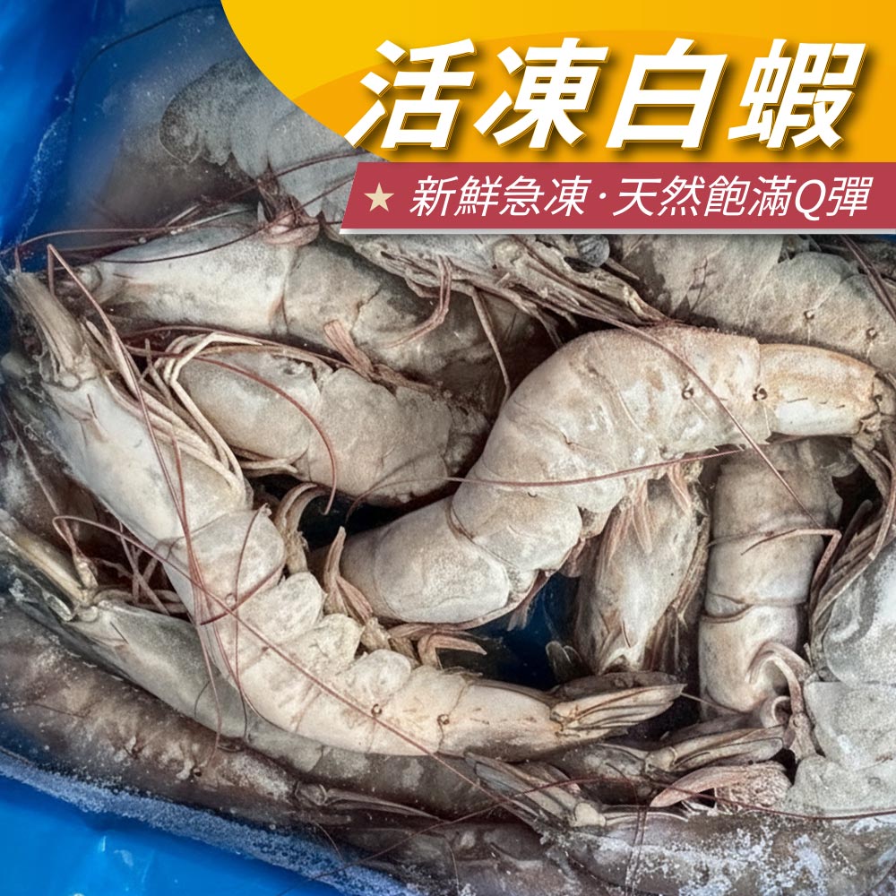 冷凍生白蝦（500g